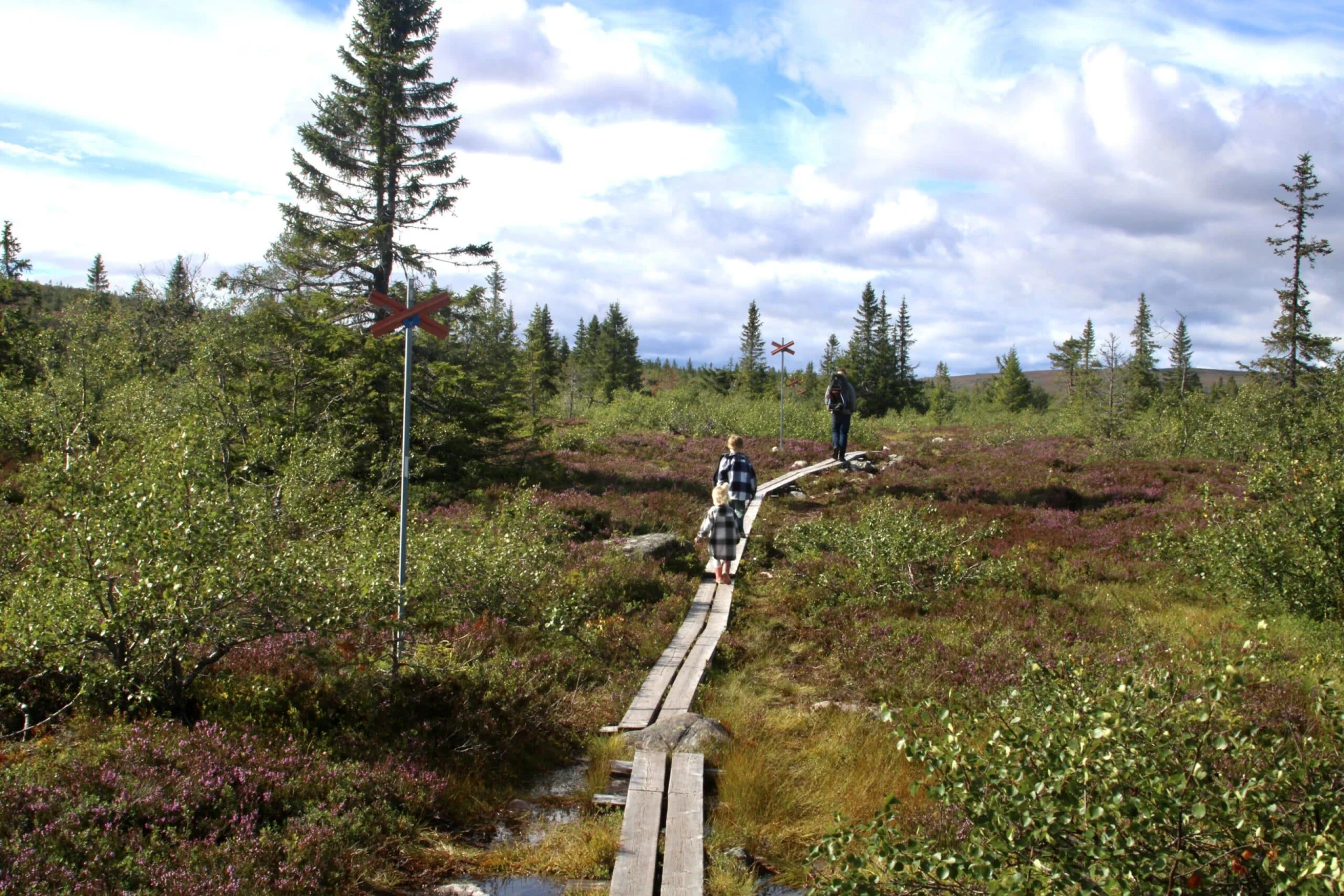 Hemfjällstangen