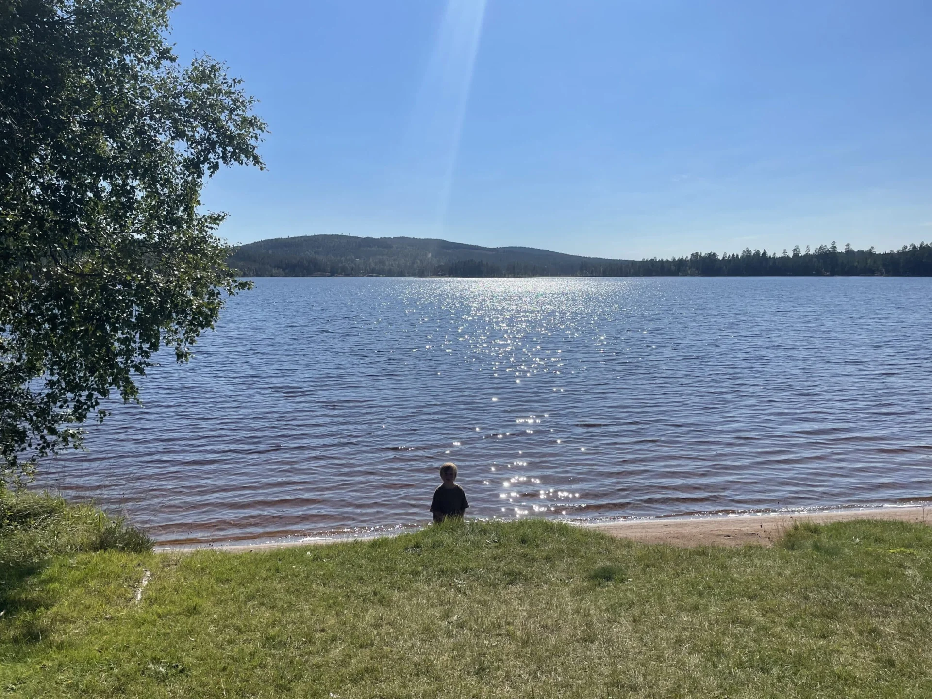 Nissången