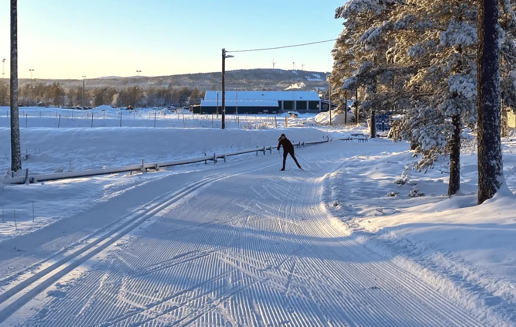 Cross-Country Skiing